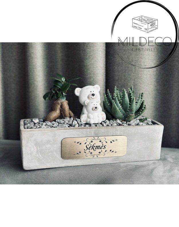 Vazonas su augalų kompozicija "Sėkmės"