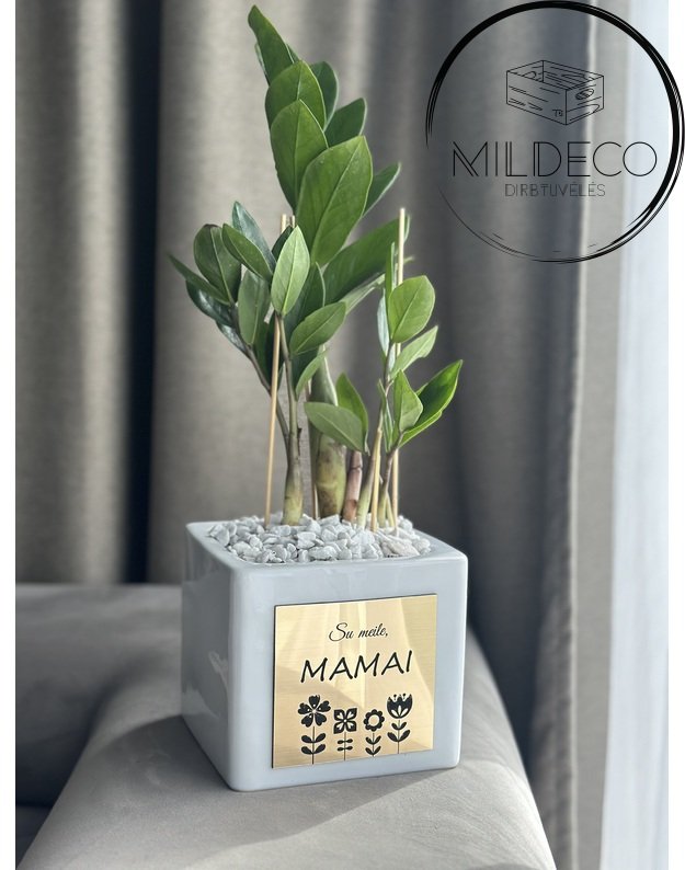 Vazonas su meile mamai