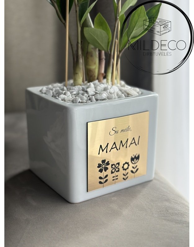 Vazonas su meile mamai 1