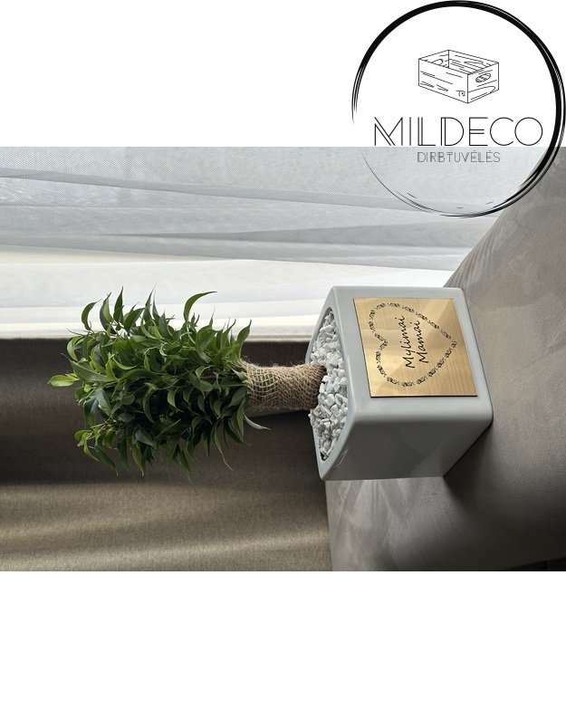 Dovana Mamai vazonas su augalu 1