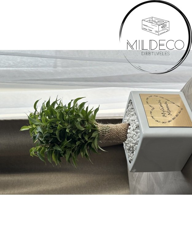 Dovana Mamai vazonas su augalu 2