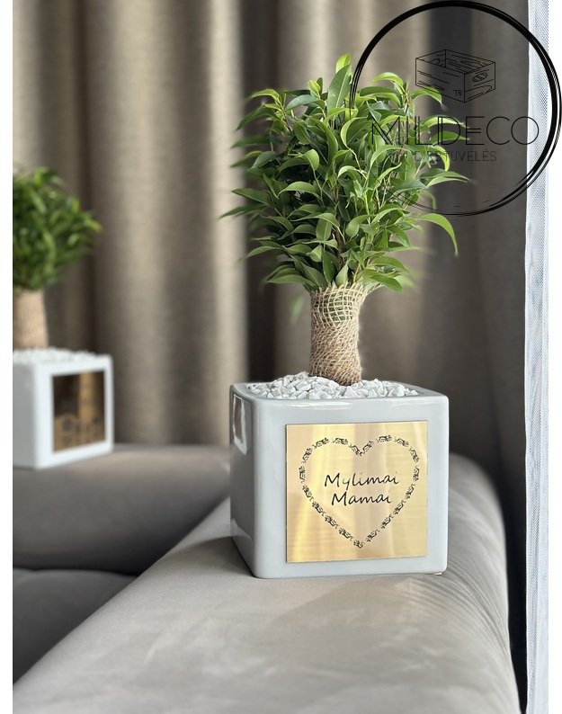 Dovana Mamai vazonas su augalu 3