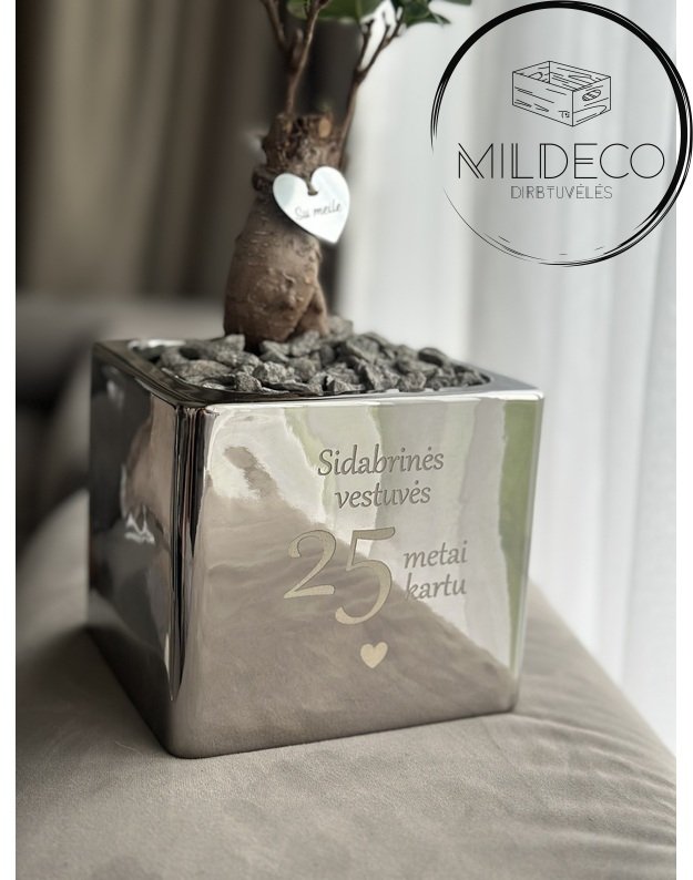 Vazonas sidabrinių vestuvių proga su augalu 4