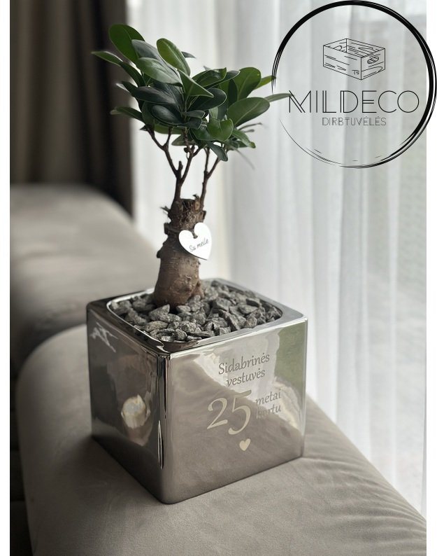 Vazonas sidabrinių vestuvių proga su augalu 2