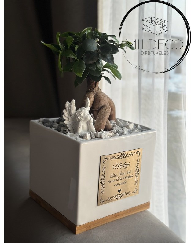 Dovana "Vestuvių liudininkams" graviruoyas vazonas su sveikinimu ir medeliu 1