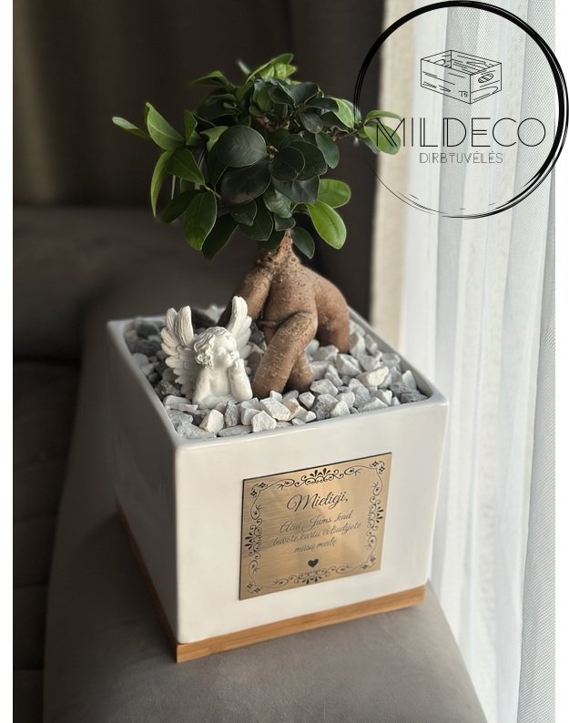 Dovana "Vestuvių liudininkams" graviruoyas vazonas su sveikinimu ir medeliu