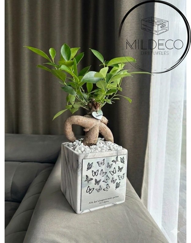 Vazonas mokytojai su vaikų vardais