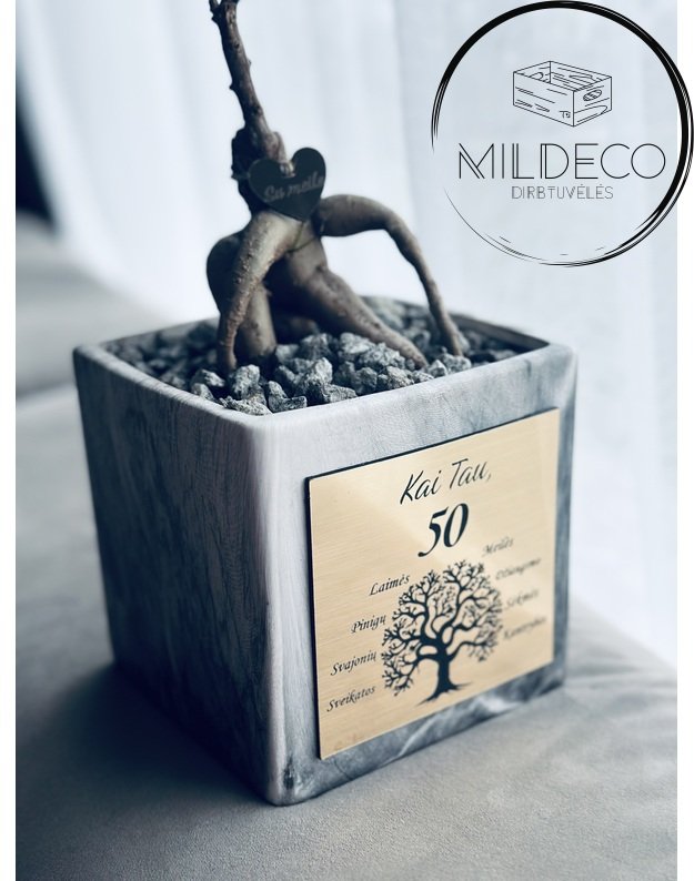 Vazonas  50 metų proga su medeliu 1