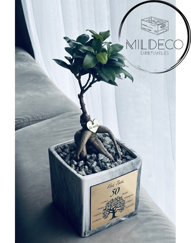 Vazonas  50 metų proga su medeliu