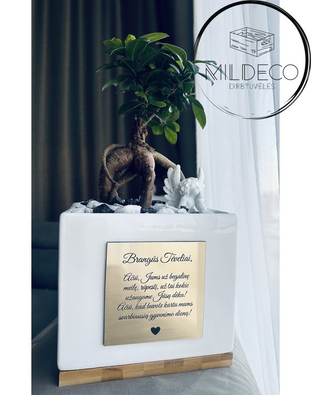 Dovana tėvams vestuvių proga  1