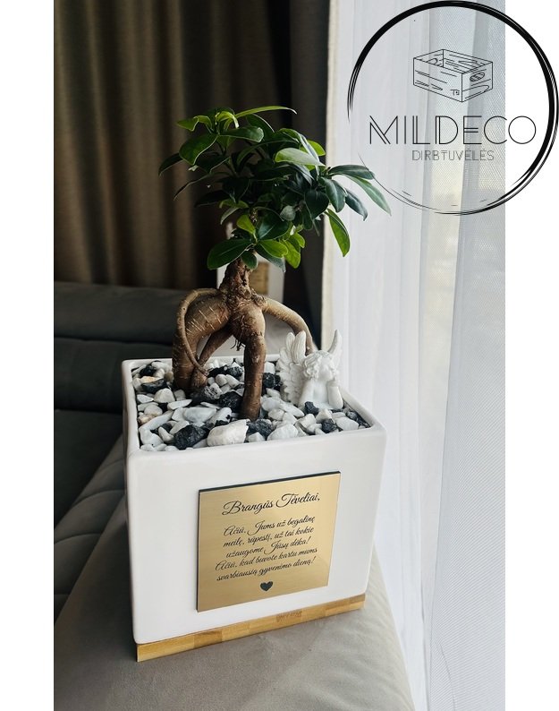 Dovana tėvams vestuvių proga  2