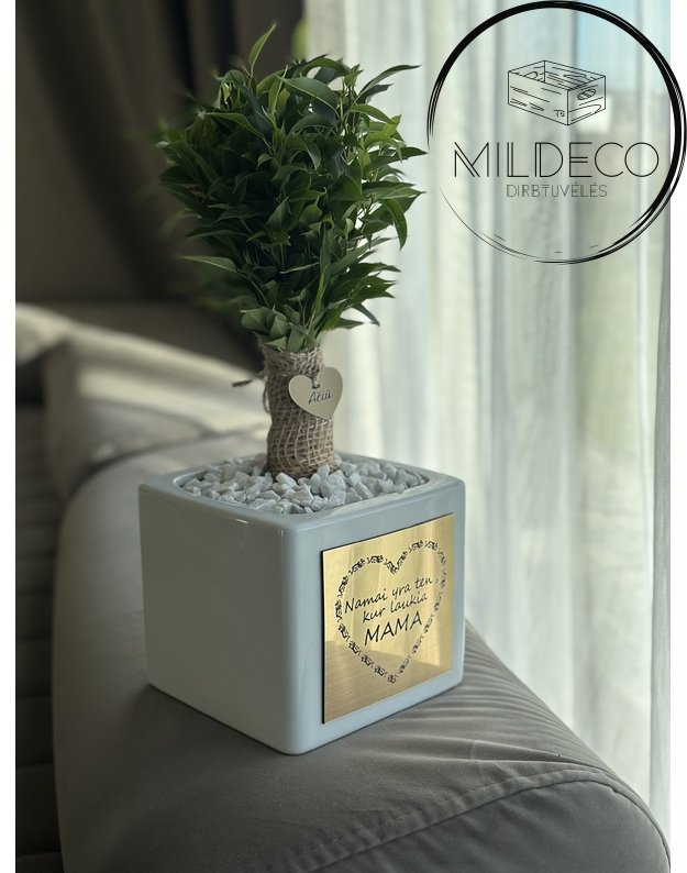 Vazonas  su medeliu "Namai yra ten, kur laukia mama" 1