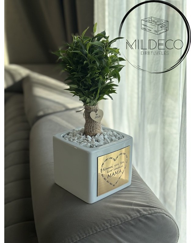 Vazonas  su medeliu "Namai yra ten, kur laukia mama" 2