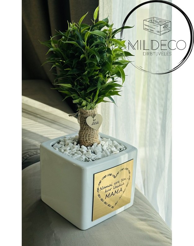 Vazonas  su medeliu "Namai yra ten, kur laukia mama"