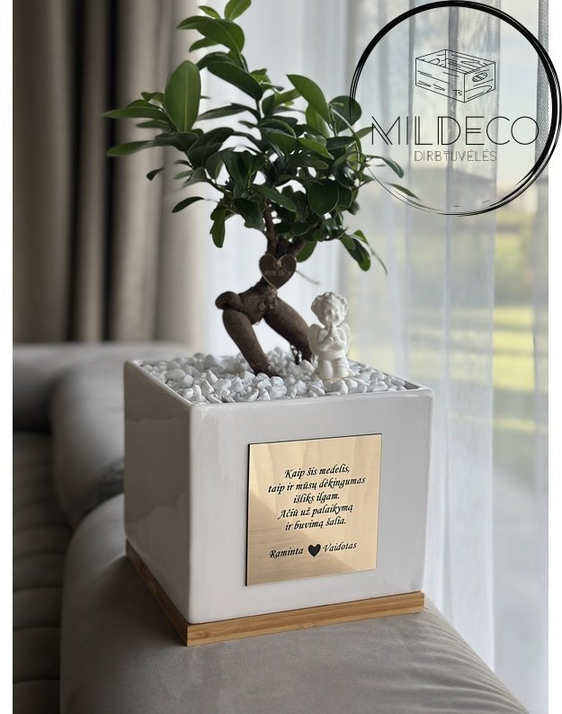 Dovana vestuviů proga tėvams 1