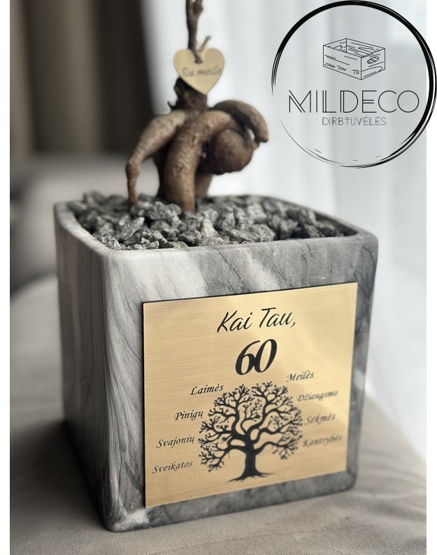 Vazonas 60 metu su augalu 