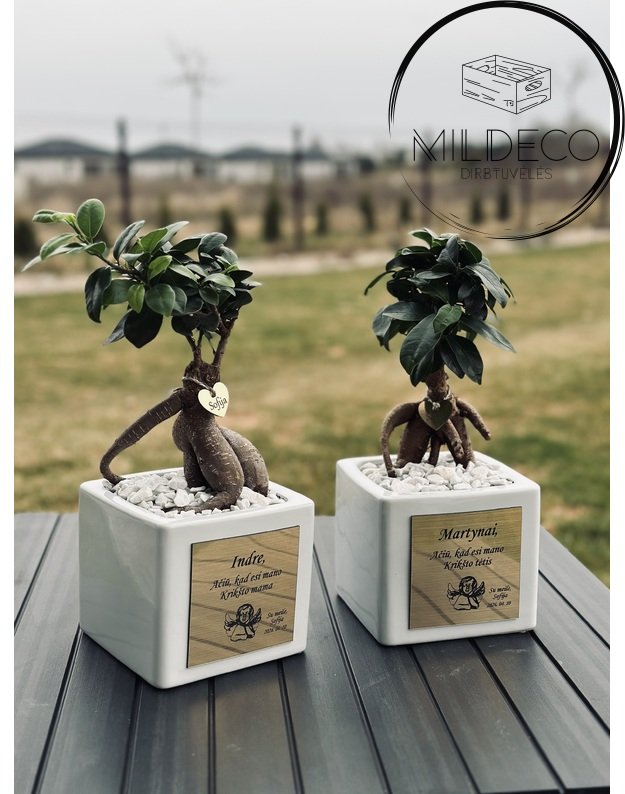 Dovana krikšto tėvams "Graviruoti vazonai su medeliais" 1