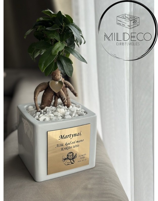 Dovana krikšto tėvams "Graviruoti vazonai su medeliais" 5