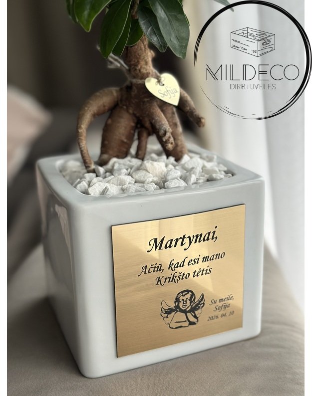 Dovana krikšto tėvams "Graviruoti vazonai su medeliais" 4