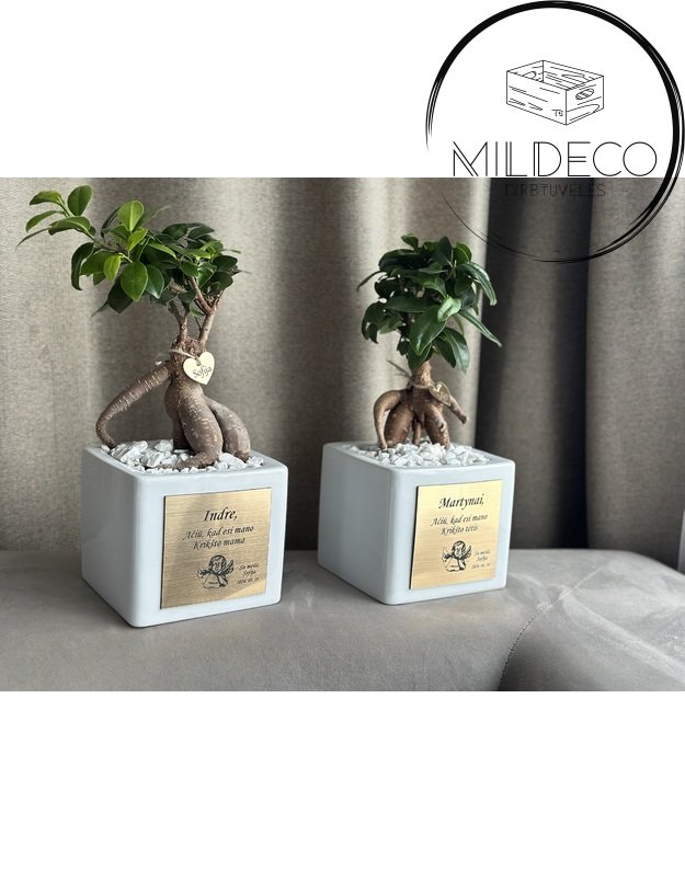 Dovana krikšto tėvams "Graviruoti vazonai su medeliais"