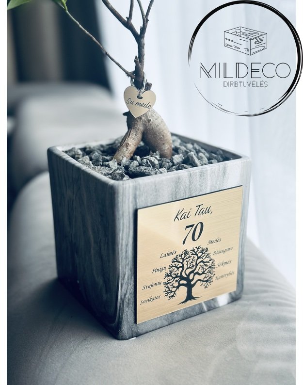 Vazonas 70 metų proga su augalu(medeliu) 1
