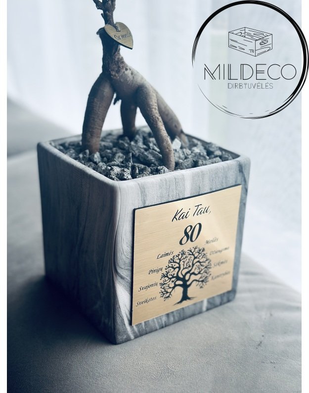 Vazonas 80 metų proga su augalu 1