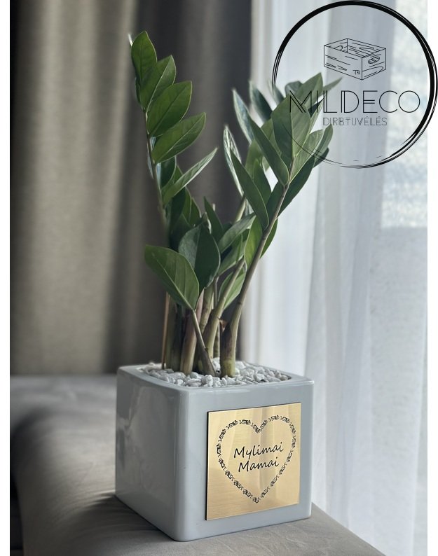 Vazonas  MYLIMAI MAMAI 1