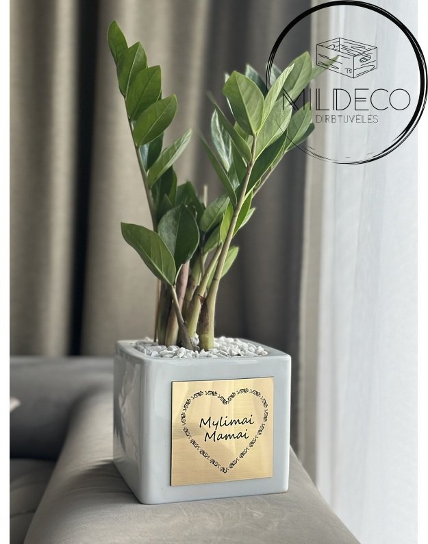 Vazonas  MYLIMAI MAMAI