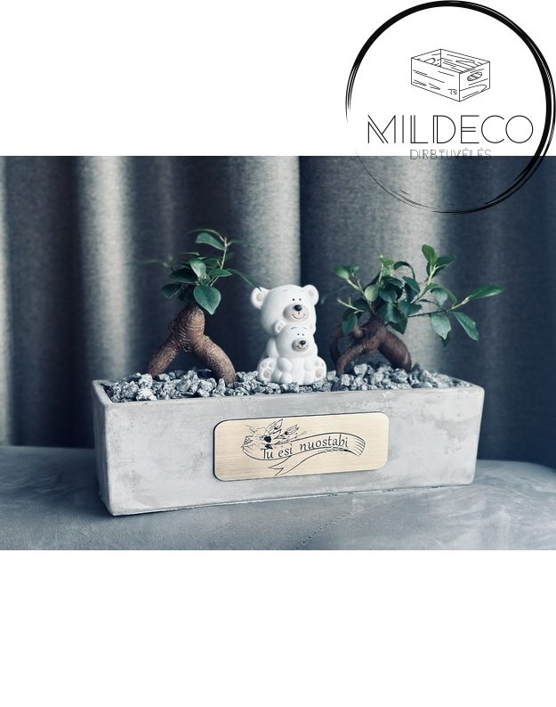 Vazonas kompozicija "Tu esi nuostabi" 1